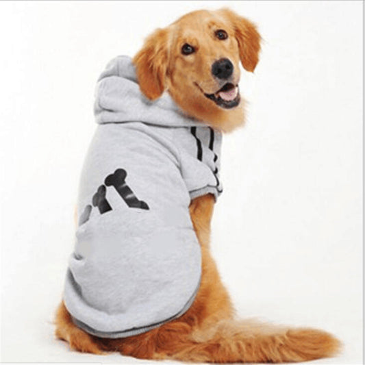 Adorable Hoodie Jacket