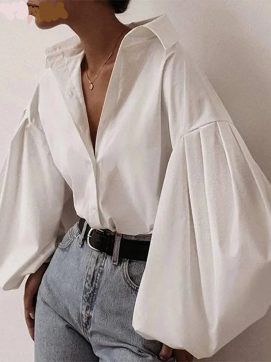 Elegant Long Lantern Sleeve Blouse